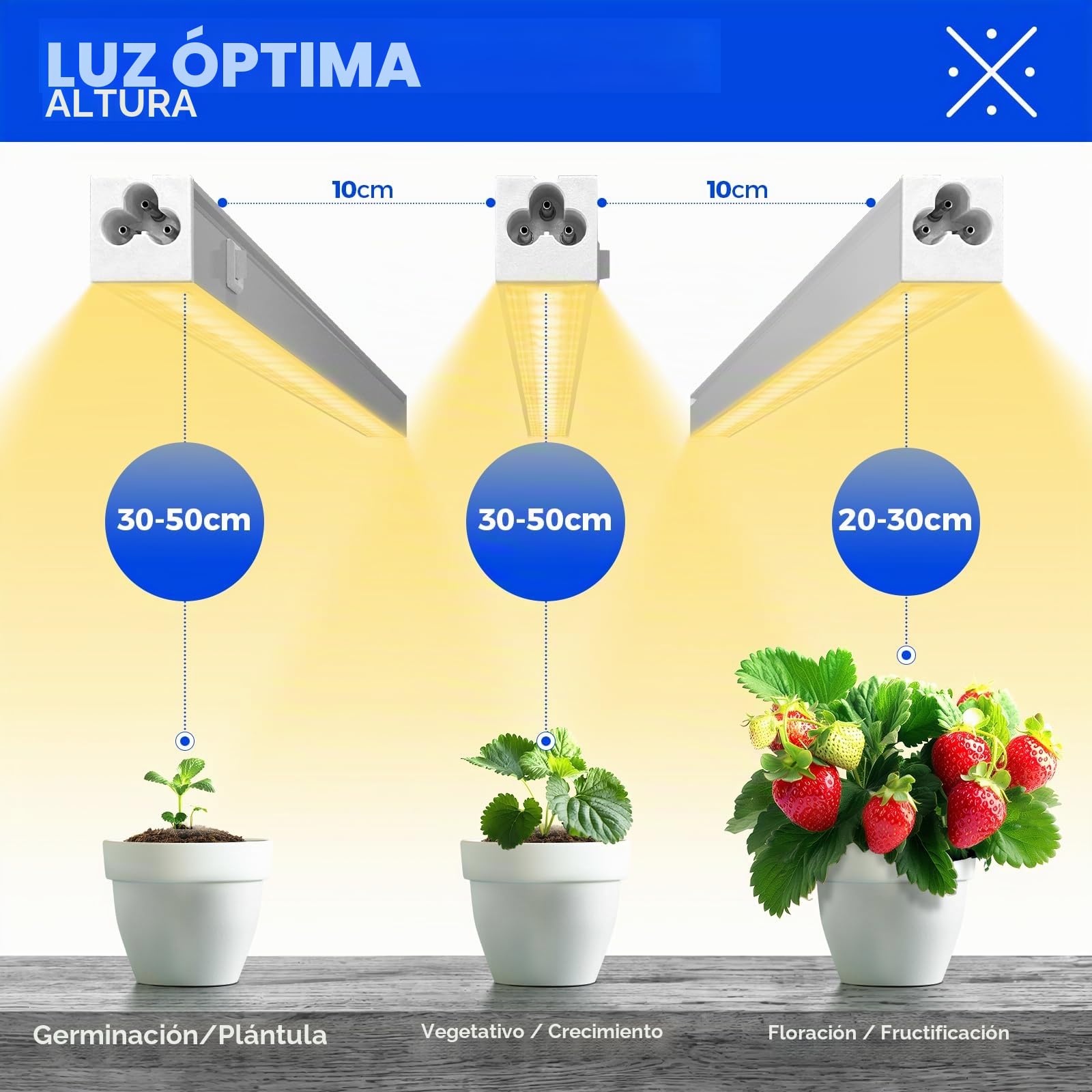 Barrina Luces de cultivo T5 de 1 pie para plantas de interior, amarillo, luz solar de espectro completo, lámpara de cultivo de plantas enlazable, tira de luz LED de crecimiento con interruptor, Plug