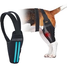Dog Knee Brace for Torn ACL Hind Leg Support Dog Leg Brace for Back Leg with 2 Stabilizers, Adjustable Hip Support to Reduces Pain Luxating Patella, Ligament Injuries, CCL Right Leg, S