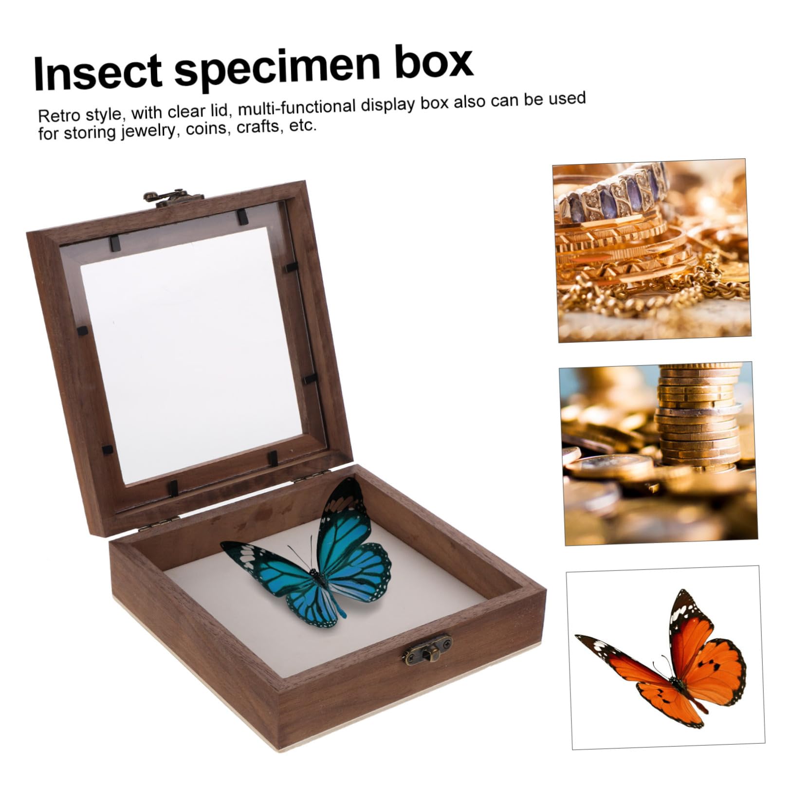 Caja De Exhibición Para Insectos Toyvian | Marco De Vidrio Con Sombra Para Mariposas Y Especímenes | Ideal Para Aulas Y Decoración Educativa