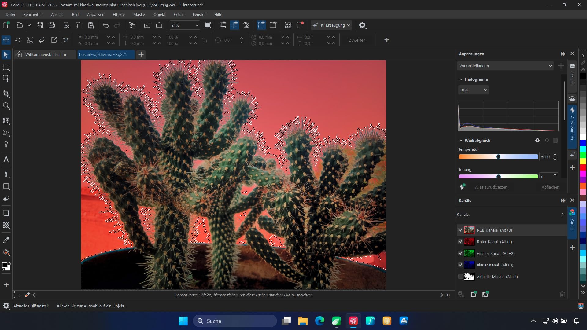 CorelDRAW Graphics Suite 2026 Windows / MAC /Dauerlizenz DE / ML #PKC | ProductKeyCard, kein Datenträger enthalten
