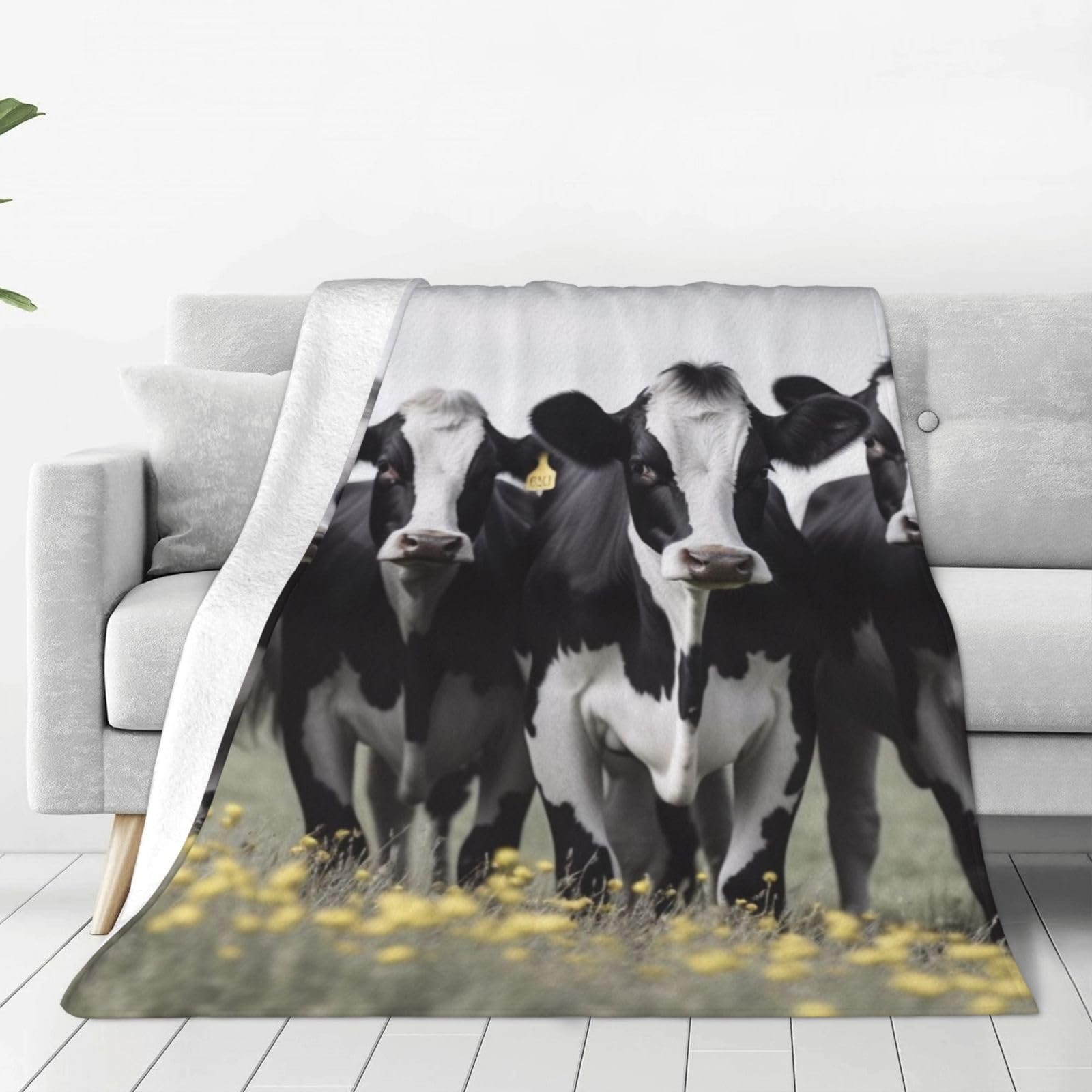 Couverture micro polaire vaches douces pour des nuits chaudes et calmes