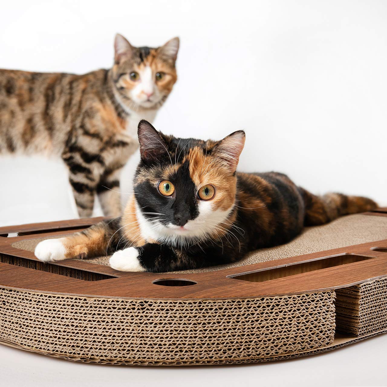 CanadianCat Company | XXL Katzenspielplatz 85 x 54 x 5,8 cm mit integrierter Kratzpappe, interaktives Katzenspielzeug Kratzbrett in Holzoptik Kratzkarton