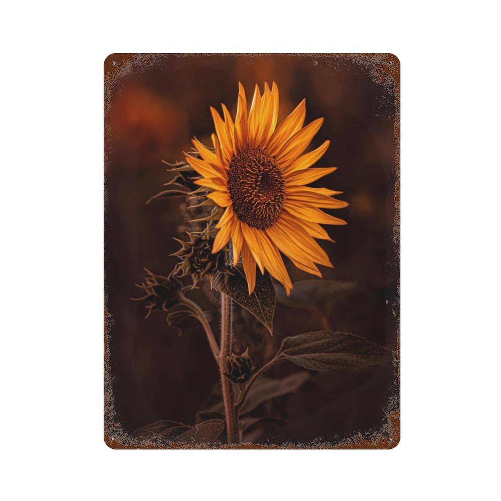 Portrait of A Sunflower Rusty Metal Tin Sign 15.7"x11.8", Ideal for Farmhouse, Kitchen And Entryway Decor