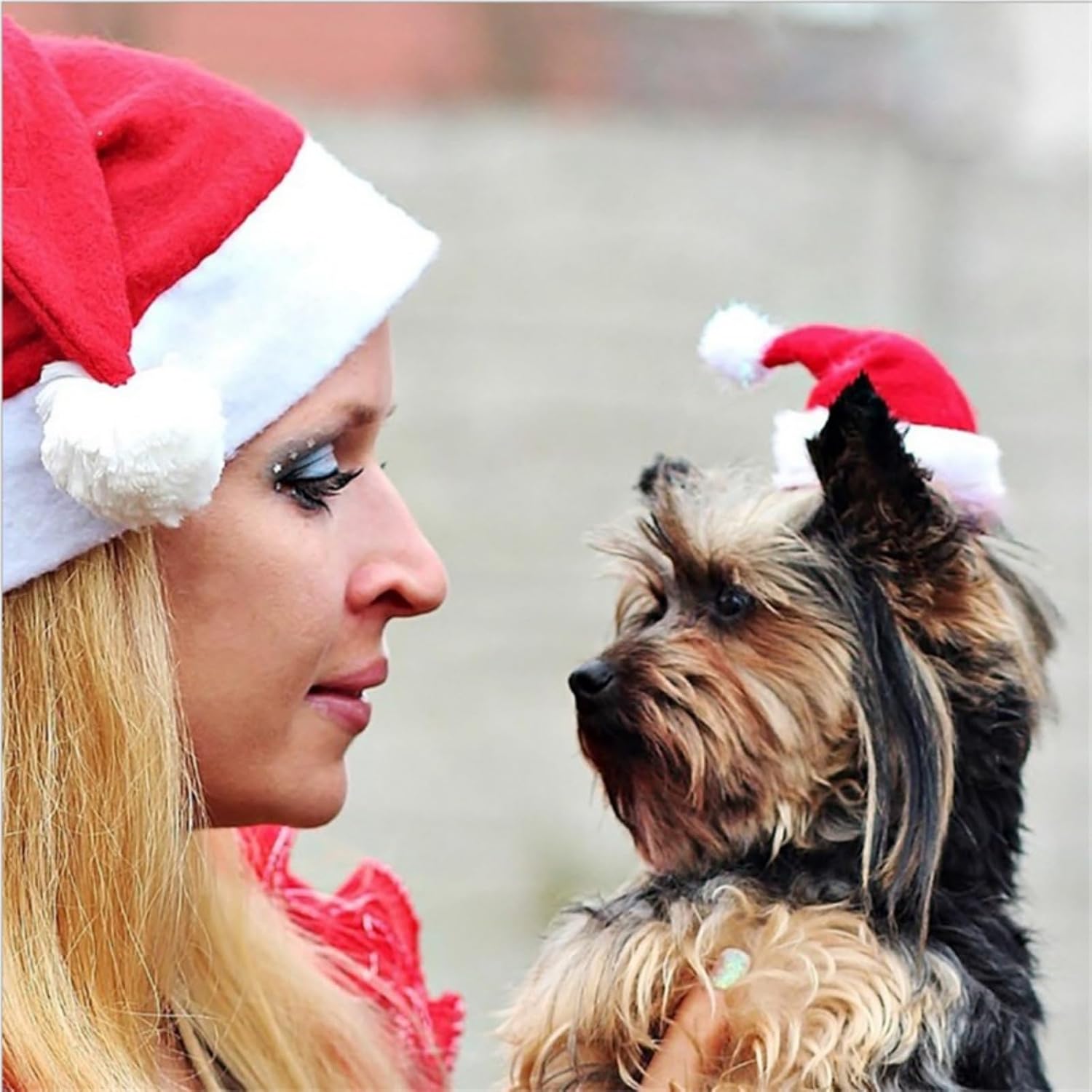 Chapéu de Papai Noel para animais de estimação - Chapéu de Natal vermelho de 14 x 19 cm com pompom branco para cães pequenos e gatos Chapéu de Papai Noel para animais de estimação - Chapéu de Natal vermelho de 14 x 19 cm com pompom branco para cães pequenos e gatos