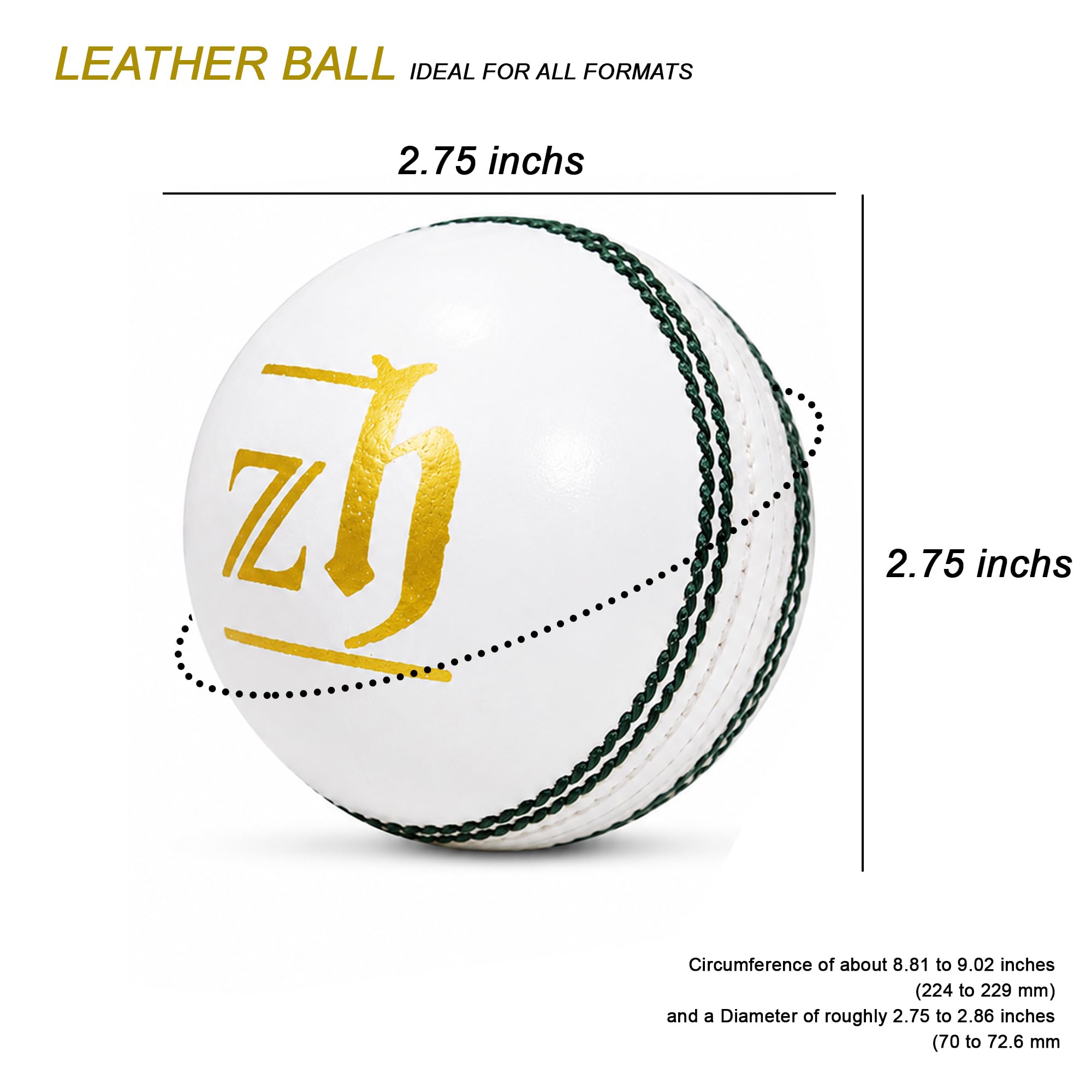 Zhoosh White Leather Cricket Ball | Premium Hand-Stitched Match & Practice Ball | Genuine Leather Cricket Ball for Club, Academy & Tournament Play | Durable White Cricket Ball (6) 3