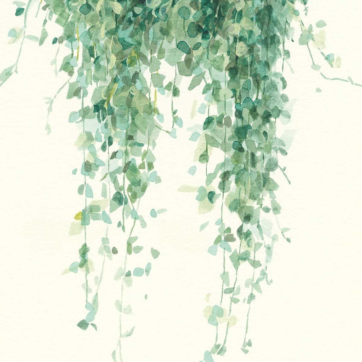 Póster de planta suculenta ilustrada, fabricado en Francia, 60 x 90 cm
