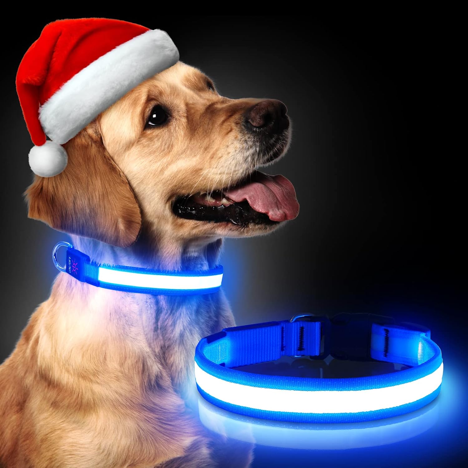 Led Dog Collar Light Up Dog Collar USB Rechargeable DQGHQME Glow in the