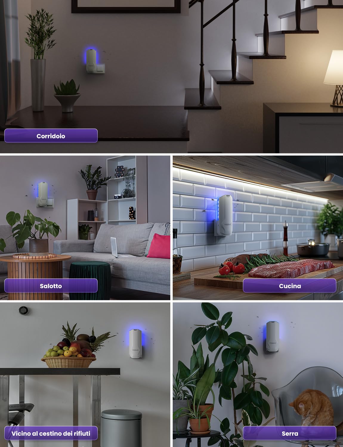 YISSVIC Trappola per Mosche della Frutta per Interni con Lampada UV, Confezione da 1 Trappola e 5 Adesivi, Ideale per Cucina, Vicino a Piante e Frutta