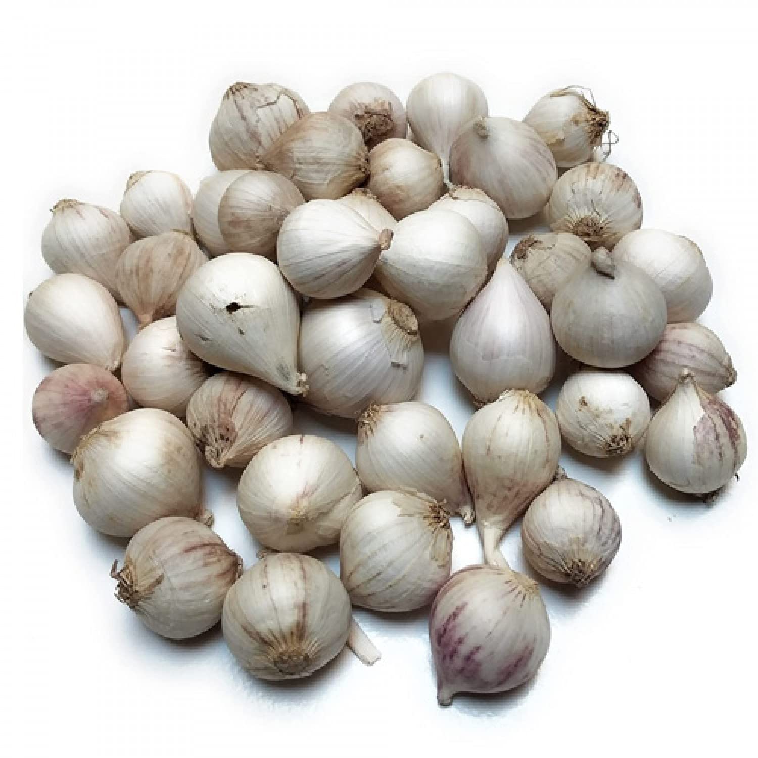 Garlic (Mountain Single Clove Garlic) 100g | एकल दांत लहसुन | ஒற்றை பல் பூண்டு | ఒకే పళ్ళు వెల్లుల్లి | ಒಂದೇ ಹಲ್ಲು ಬೆಳ್ಳುಳ್ಳಿ | ഒറ്റ പല്ലുകൾ വെളുത്തുള്ളി by Amirtham Organic Foods