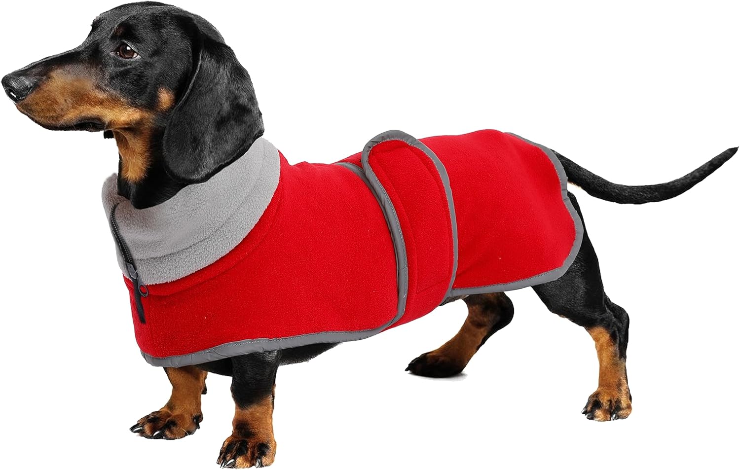 Dog Jacket, Dog Coat Perfect for Dachshunds, Dog Winter