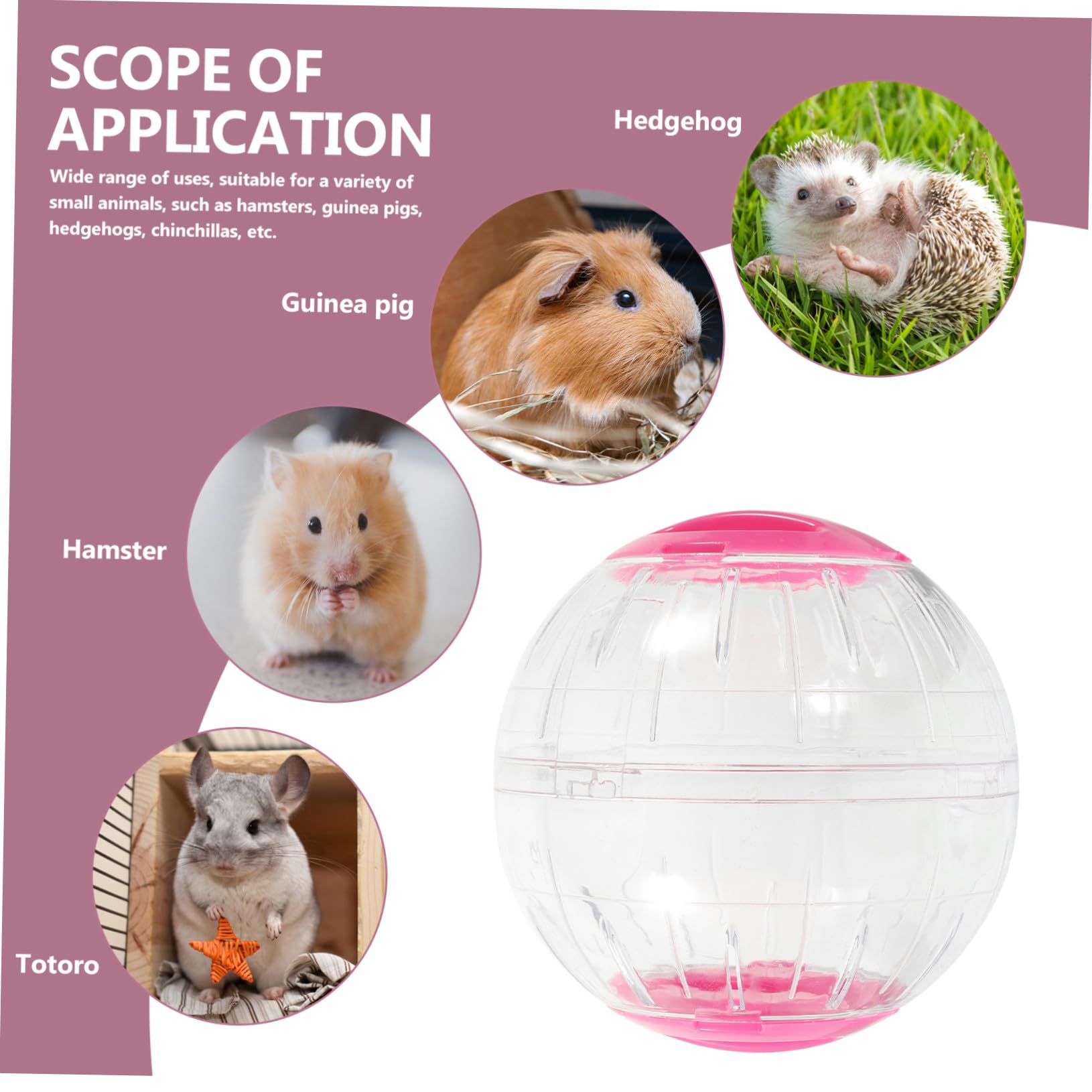 TOYANDONA 4 Piezas Pelotas de Ejercicio para Hámster Transparente y Silencioso Ruedas para Roedores y Animales Pequeños Accesorios Portátiles para Jaulas Fácil de Transportar y Supervisar