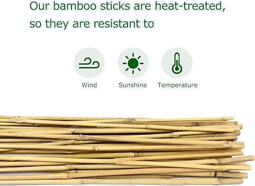 Miniatura 3 de Cambaverd Palitos de bambú para plantas, estacas de bambú de 2 pies para jardinería interior, estacas de plantas para plantas en maceta, mini