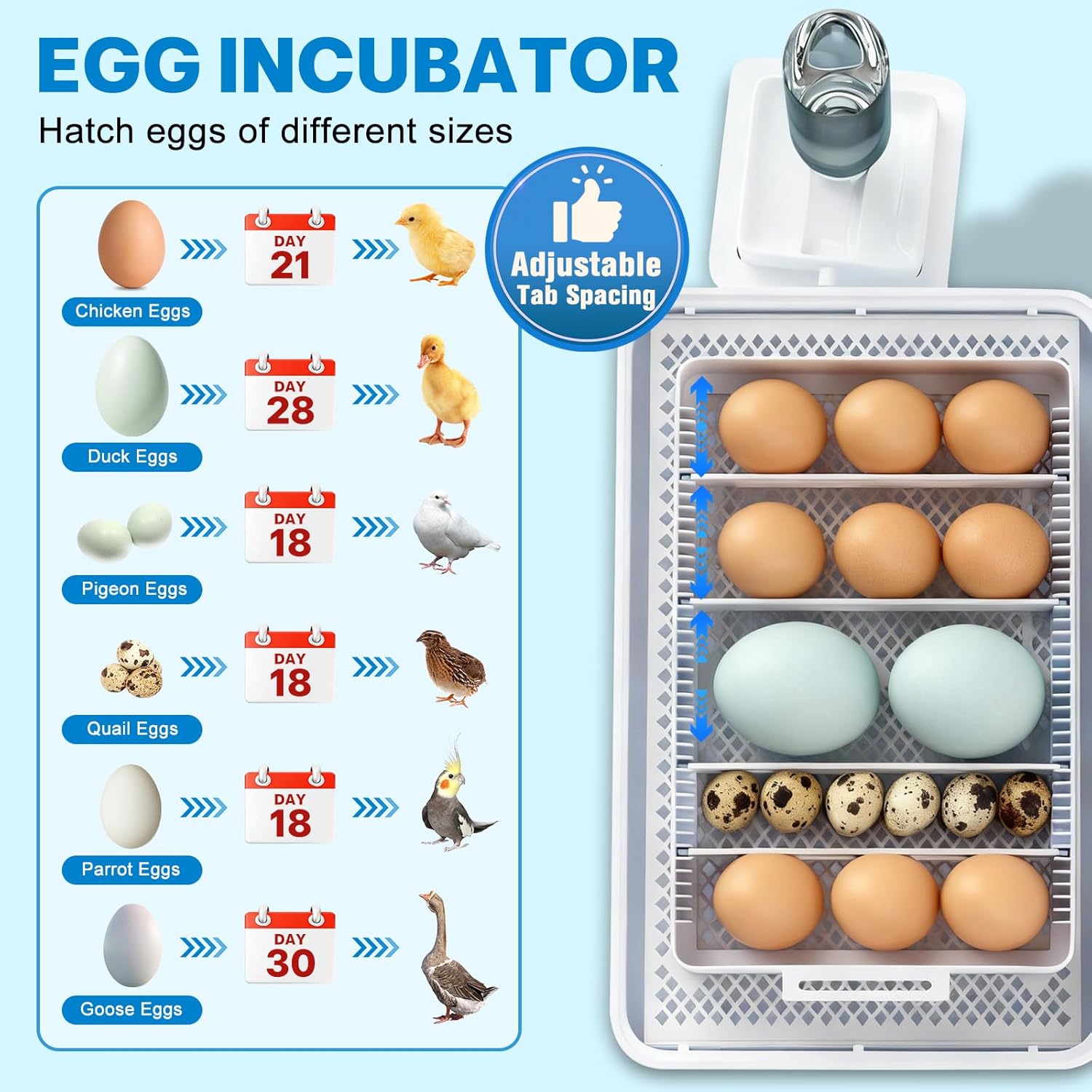 Incubators for Hatching Eggs 15-35 Eggs Incubator with Automatic Egg Turning and ℉Temperature Display LED Candler Poultry Incubator for Hatching Chicken Duck and Quail Incubator (Blue)