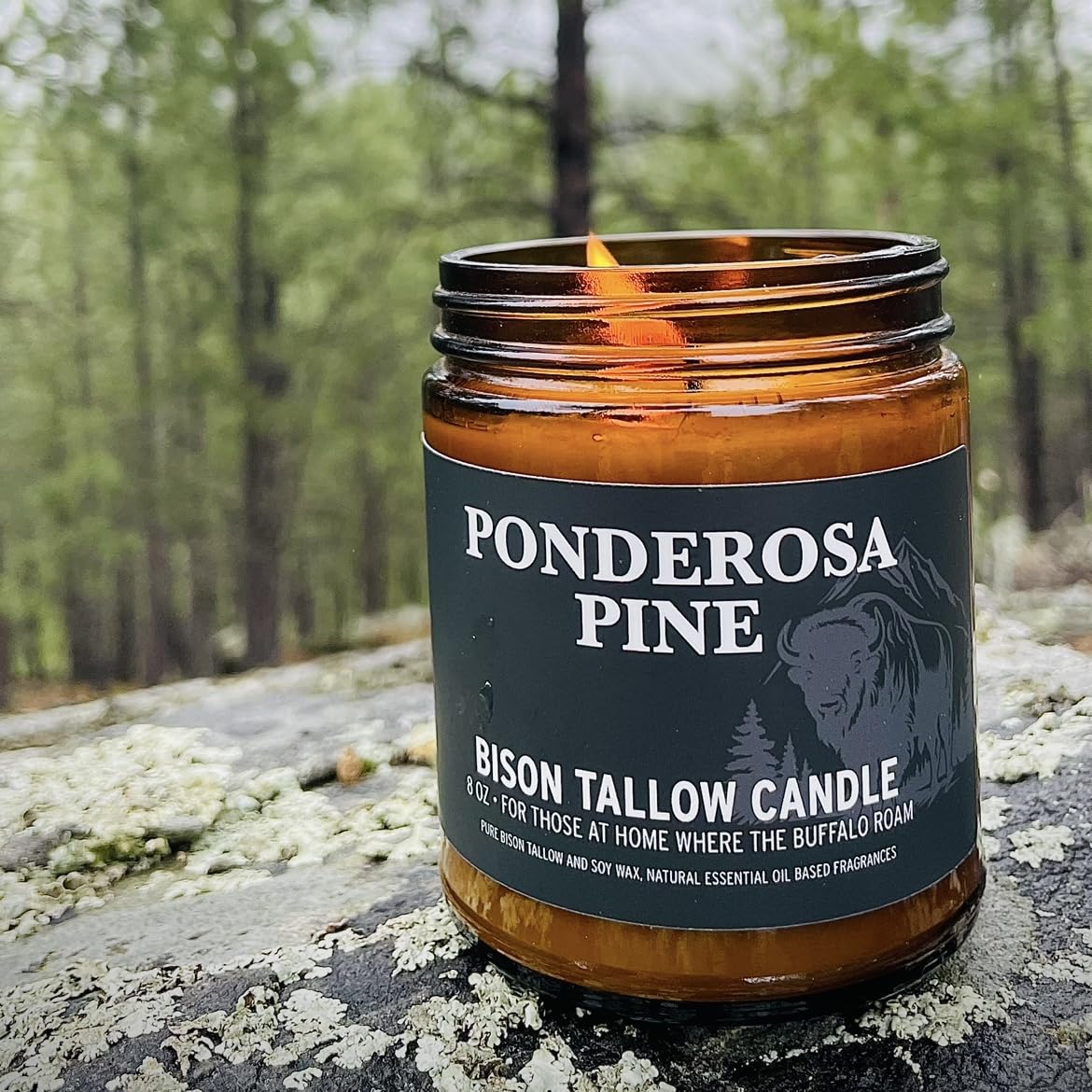 Big Crazy Buffalo Pure Bison Tallow Scented Candle, Ponderosa Pine, 8 oz - Scents of Pine, Cypress, & Cedar - Pure, Low Smoke, Beeswax, Traditional Tallow Candle, Glass Jar