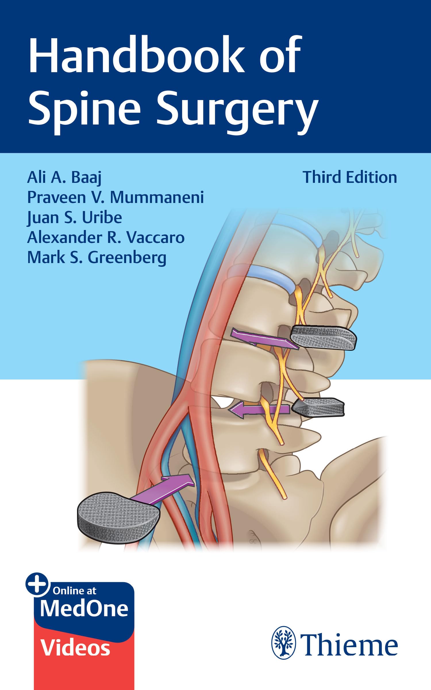 Handbook of Spine Surgery (English Edition)