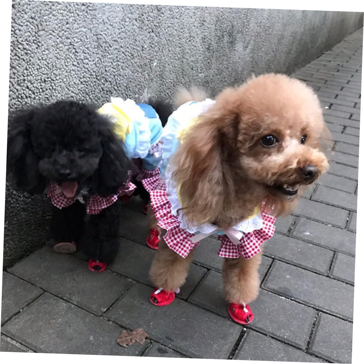 HANABASS 16stücke Atmungsaktive Hundeschuhe Für Kleine Haustiere rutschfeste Bequeme Pfotenschutzschuhe Für Outdoor-aktivitäten Für Hunde Und Katzen Zufälliges Design Innensohle
