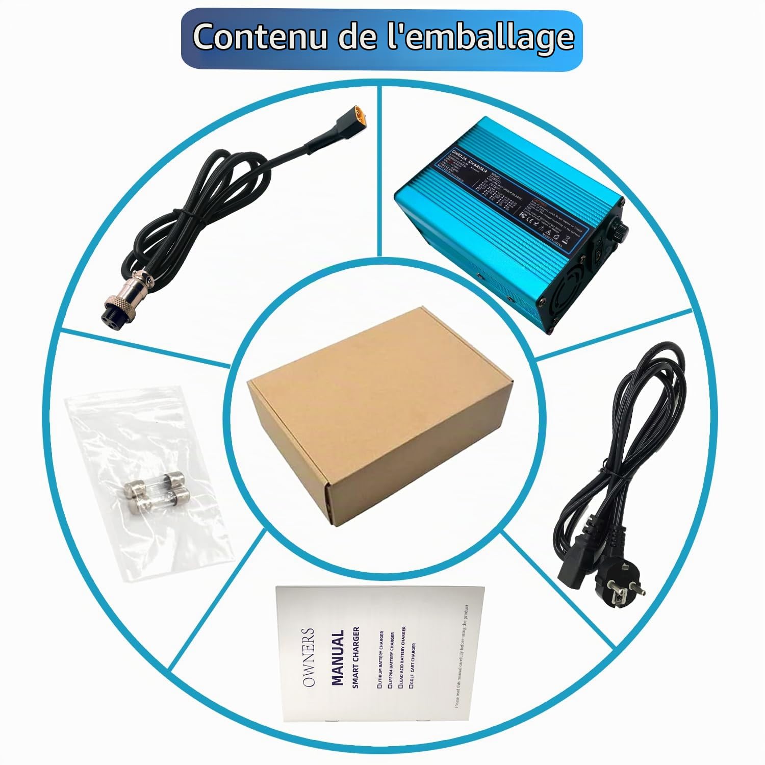 Chargeur de Batterie 54,6 V 5 A pour Batterie Lithium 48 V, Alimentation 48 V 5 A, extérieur Bleu avec connecteur GX16 1+3-
