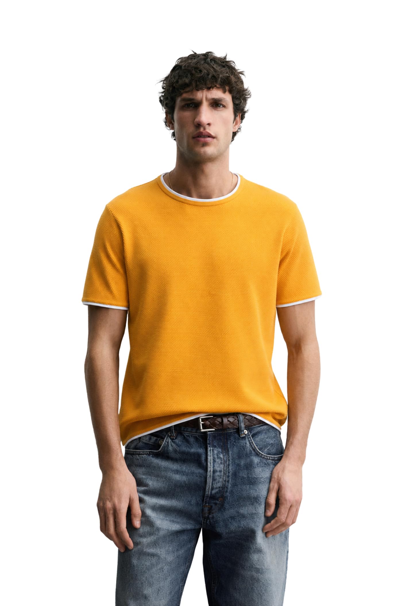 alan jones clothing Men's 100% Cotton Regular Fit Double Collar Round Neck T-Shirt-picture-27