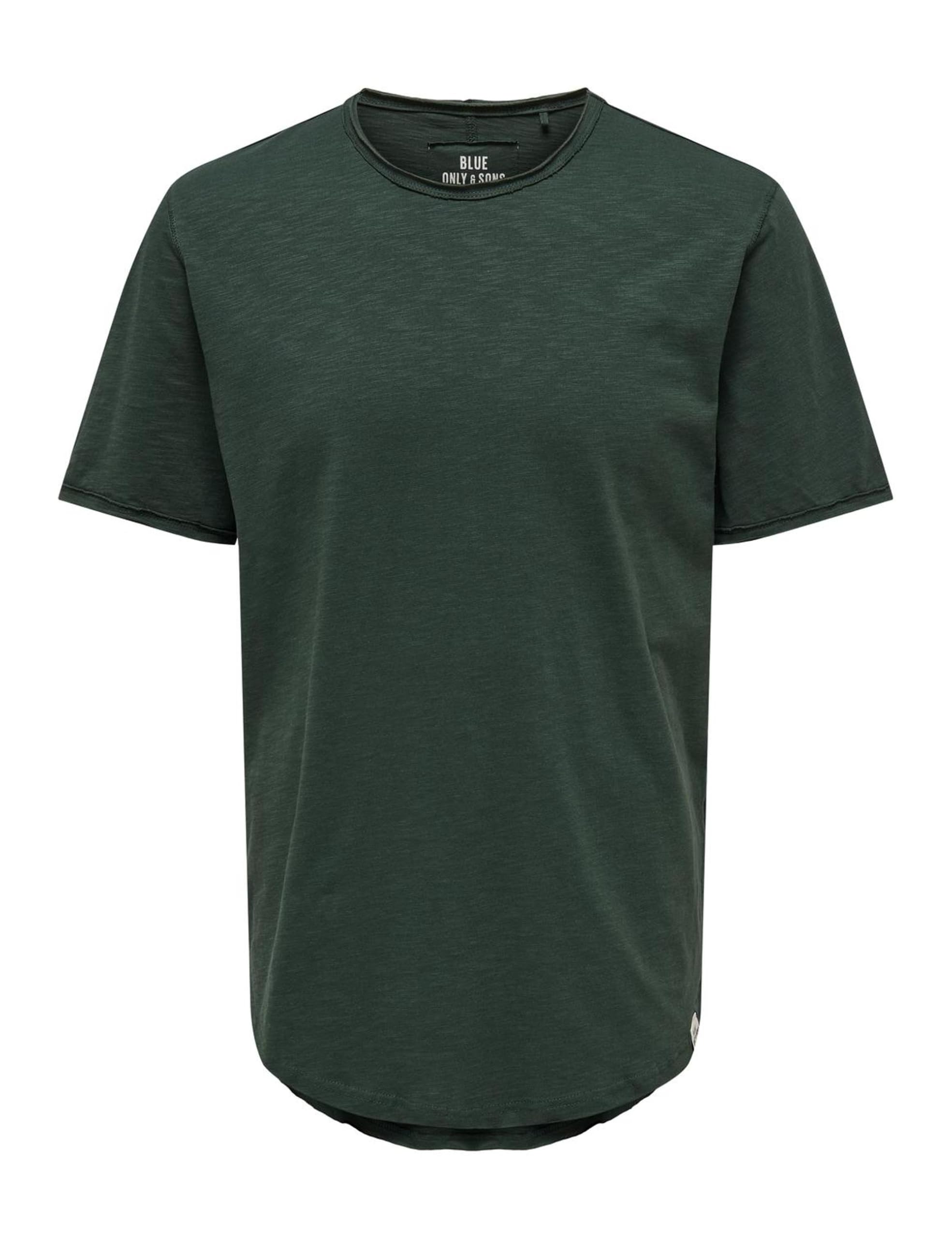 Only & Sons Male T-Shirt Onsbenne T-Shirt, Green-4, M