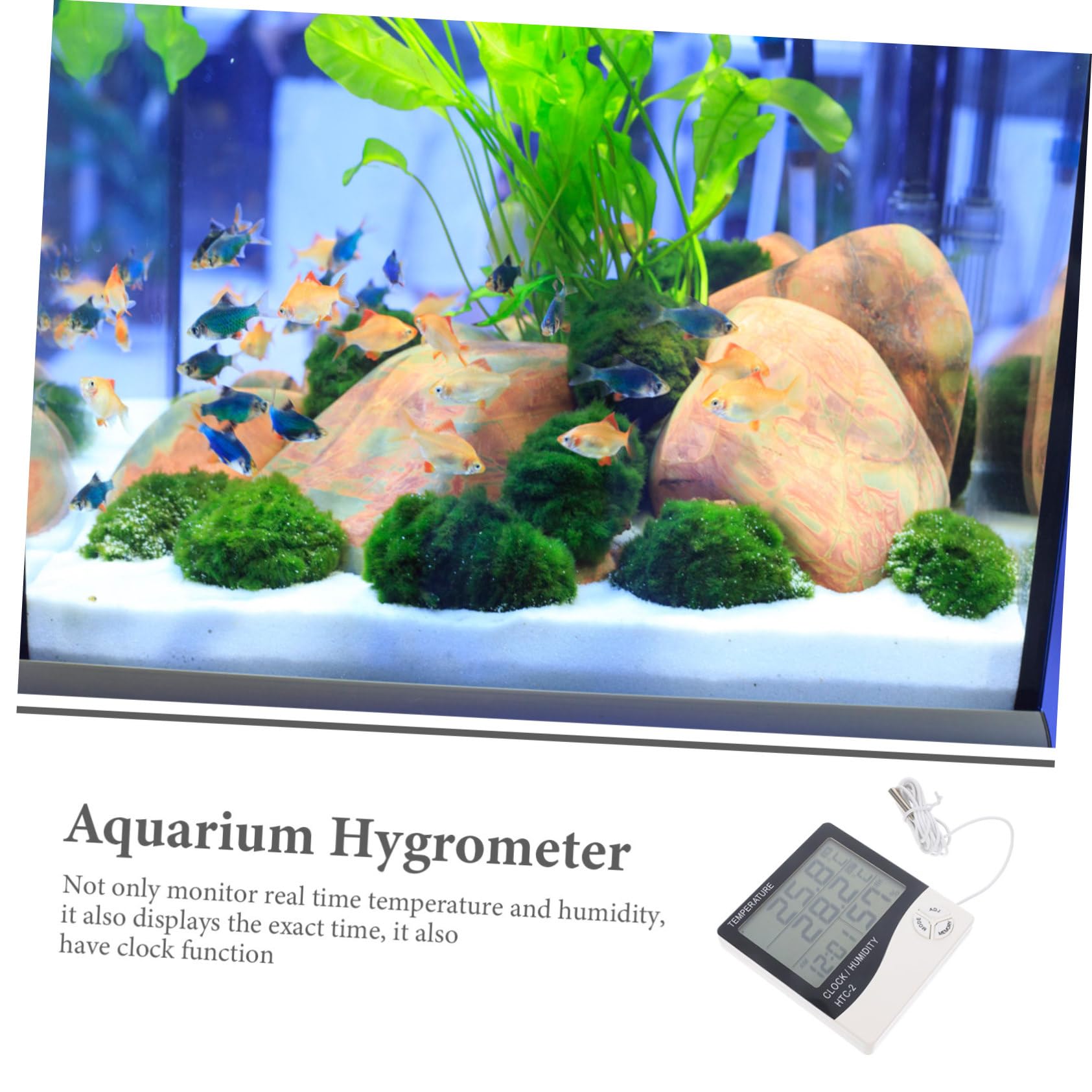 FOMIYES 3stücke Aquarium Thermometer Mit Doppelanzeige Für Präzise Temperaturmessung Geeignet Für Fischbecken Terrarien Und Zimmerpflanzen Große LCD-anzeige Batterie Vielseitig