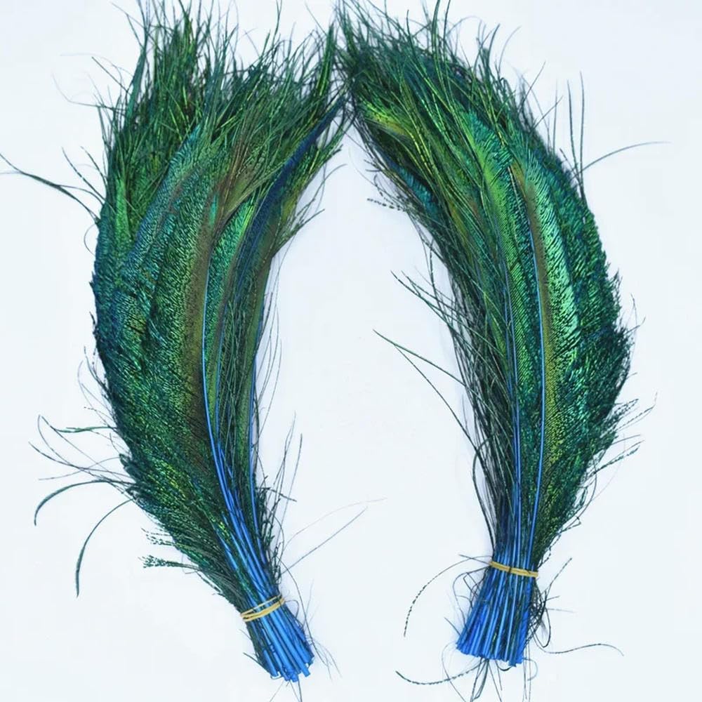 Plumas de pavo real azul natural de 30-35 cm para decoración de jarrones, lote de 20 piezas