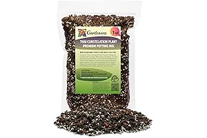 Premium Thai Constellation Monstera Potting Mix: The Secret to Indoor Plant Thriving