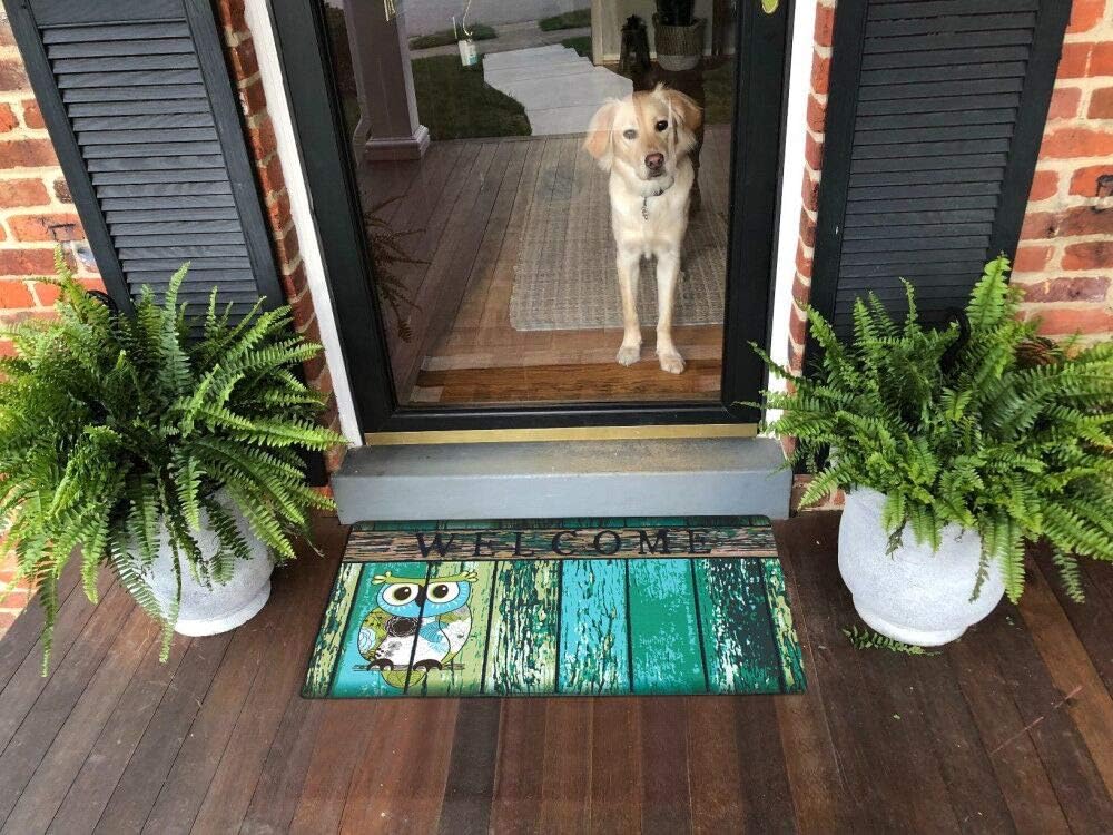 Welcome Doormat, Entrance Mat Floor Mat Rug for Indoor Outdoor Front Door with Non-Slip Rubber Backing, Printing Door Mat with Owl Pattern, 17''WX29''L (Green)
