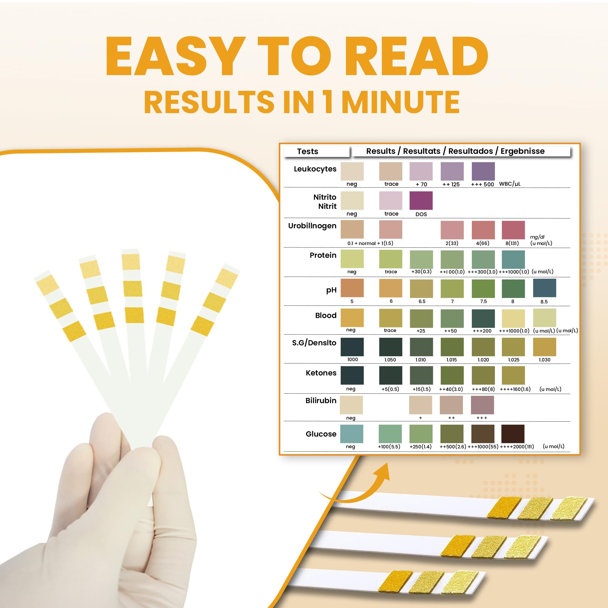 Kidney Function Test And Kidney Function Test Results Interpretation - View #2