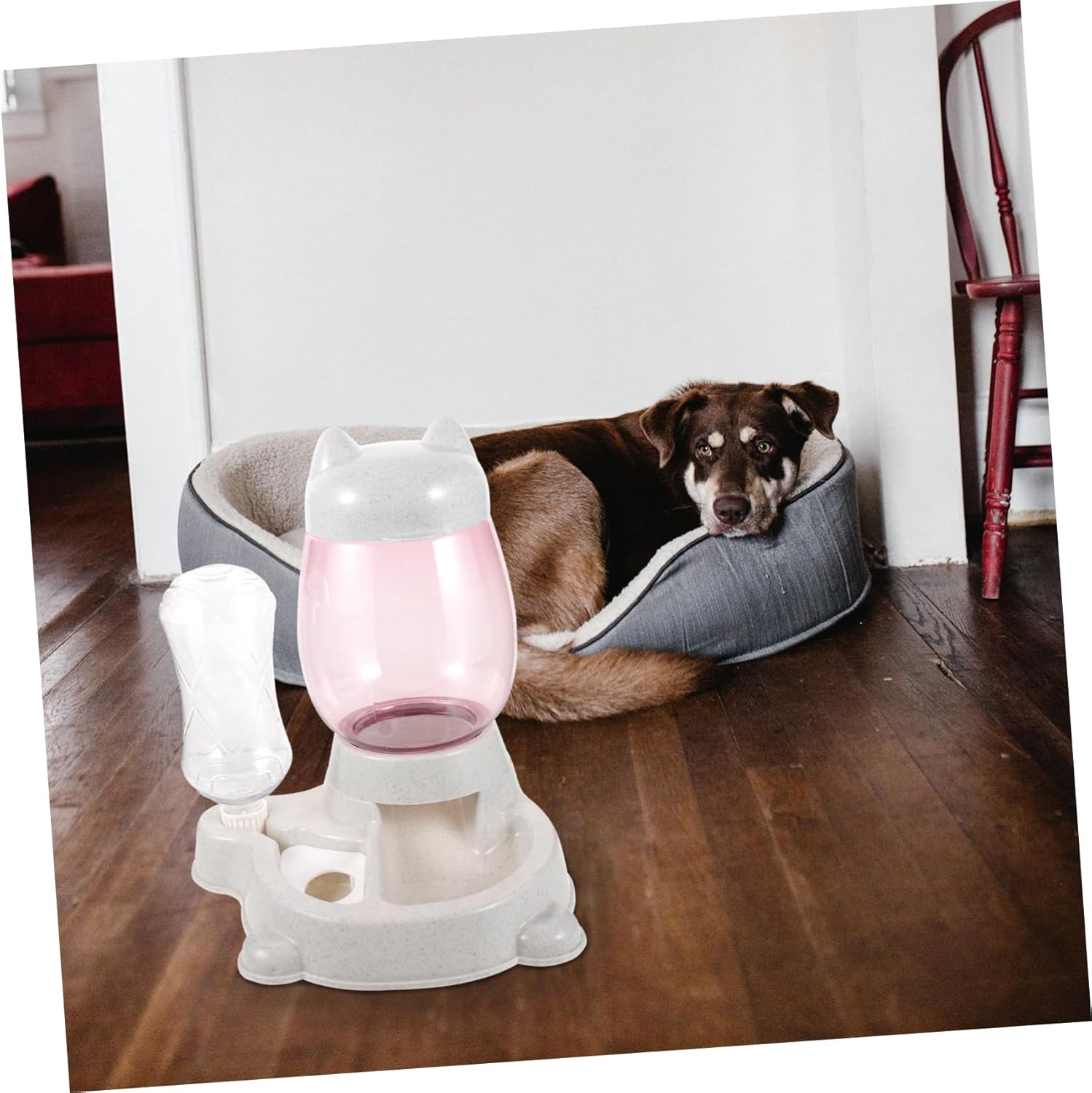 Automatic Feeder Cat Feeder and Water Dispenser Pet Accessories for Indoor Cats