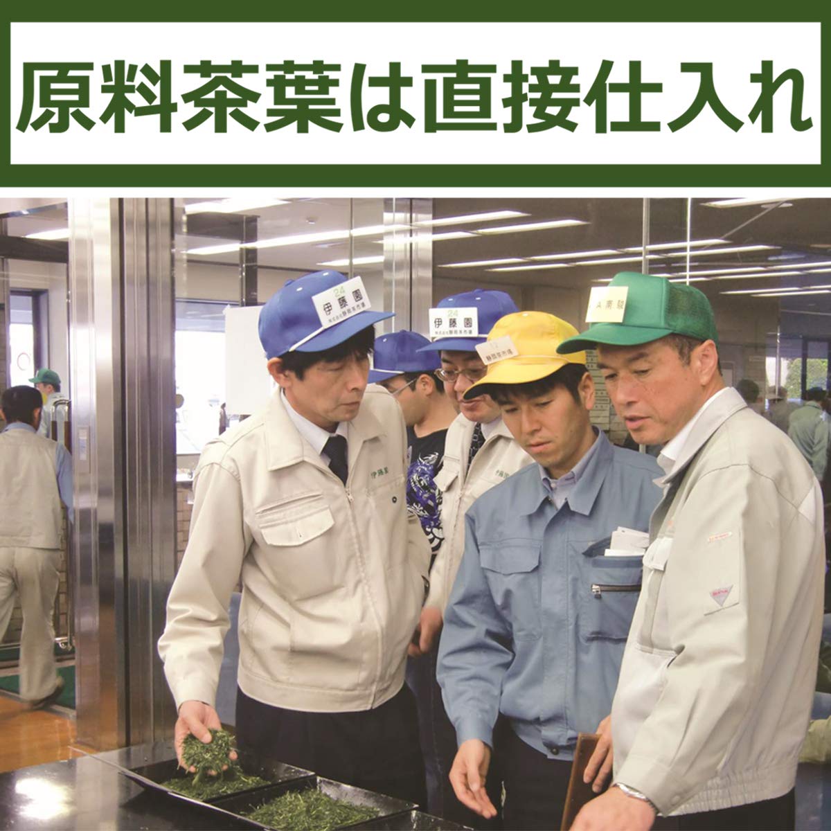 Oi Ocha Premium Té Verde