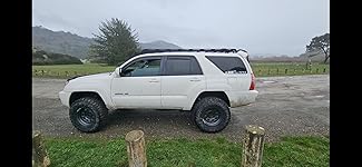 Review Image by Samantha