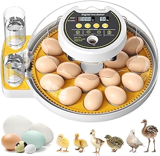 2025 Upgrade 18 Egg Incubator with Automatic Egg Turning and Humidity Control, Egg Incubators for Hatching Eggs Chicken Ducks Goose Quail Pigeon Turkey, Automatic Incubator for Home Classroom Lab Farm