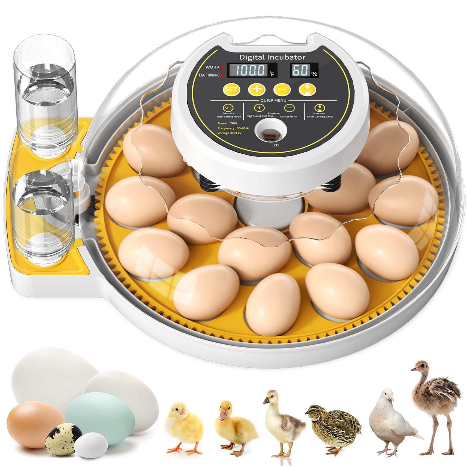 2025 Upgrade 18 Egg Incubator with Automatic Egg Turning and Humidity Control, Egg Incubators for Hatching Eggs Chicken Ducks Goose Quail Pigeon Turkey, Automatic Incubator for Home Classroom Lab Farm