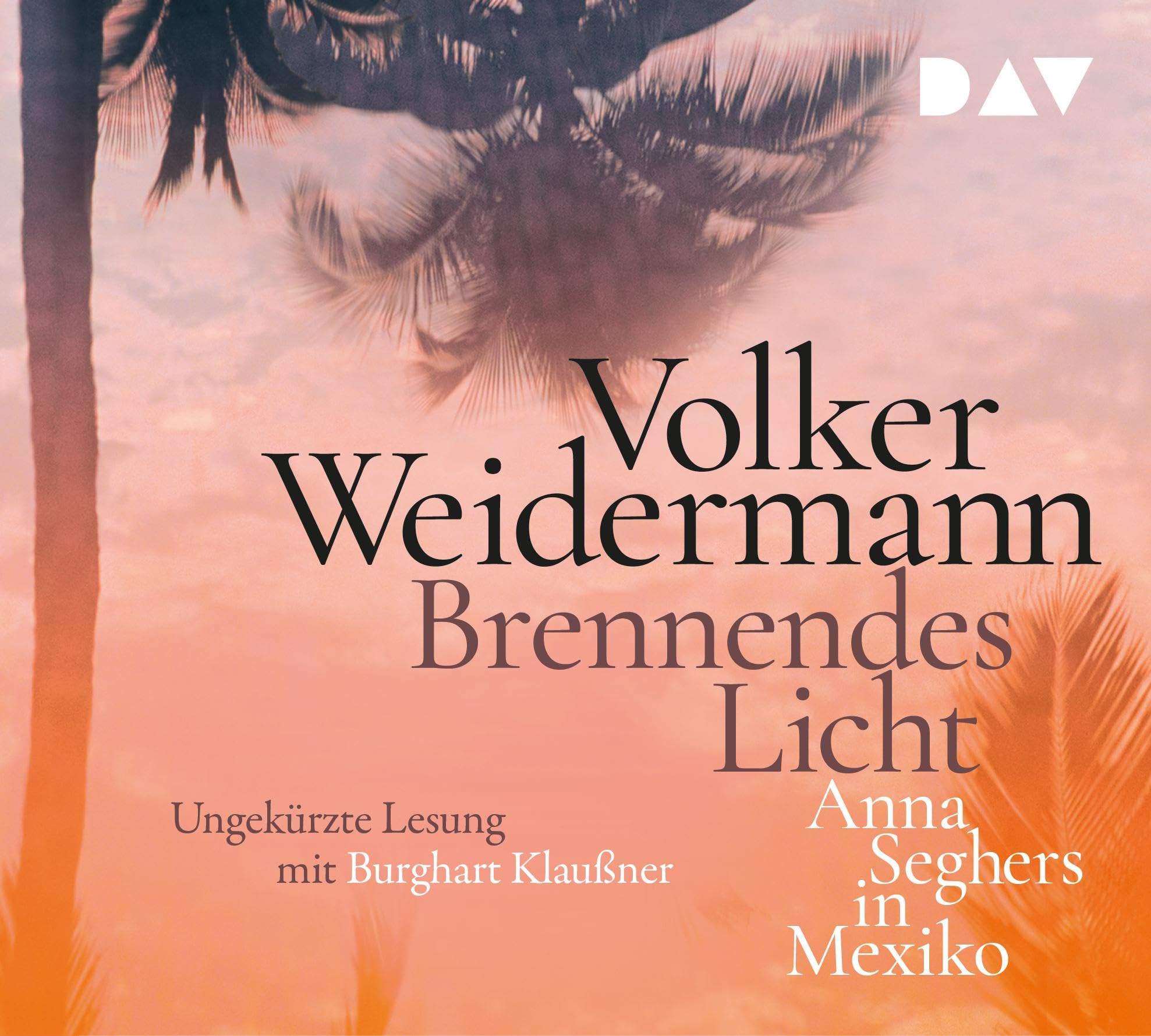 Brennendes Licht.Anna Seghers in Mexiko