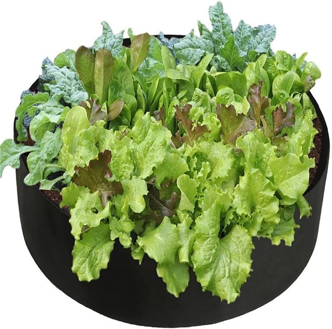 Ulalaza 3PCS Potato Grow Bags with Flap Plant Grow Bags Fabric Multi Ribbon Potato Bag Tomato Vegetable Growth Non-Woven Felt Planting Bag Transparent