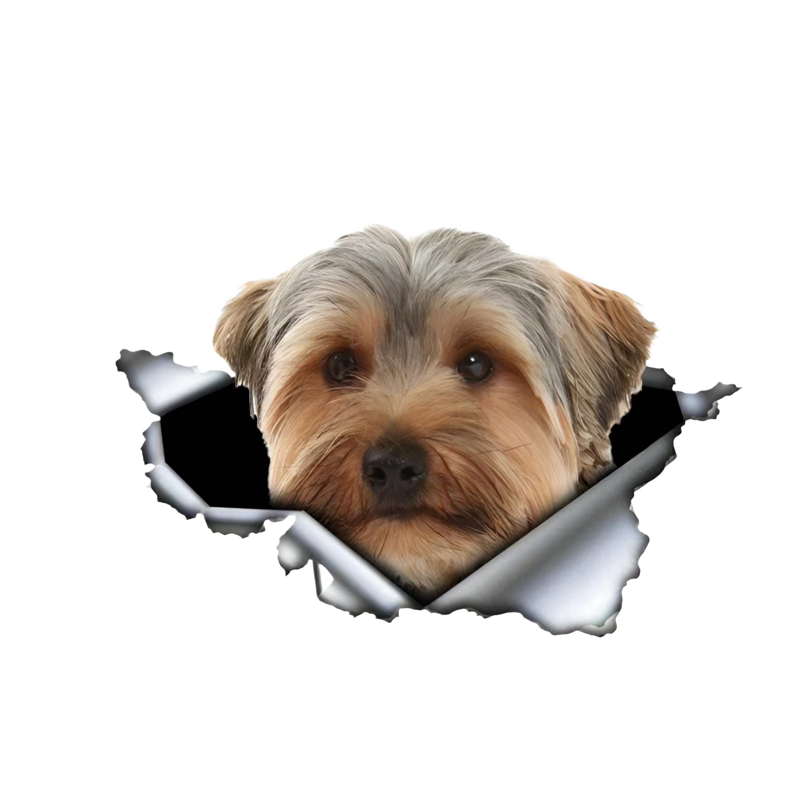 Autoaufkleber 22cm(8.7 Inch) Yorkshire Terrier Aufkleber 3D Zerrissen Reflektierende Auto Aufkleber Lustig Yorkshire Terrier Car Sticker Haustier Hund Wasserdichte Aufkleber Stoßstange Lustig Dekor