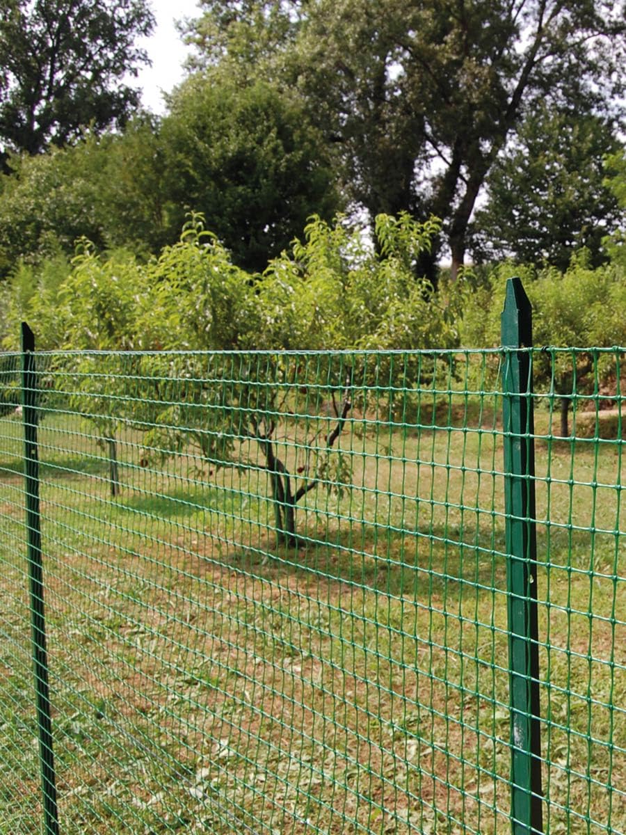 PINTO FERRAMENTA Rete Recinzione Elettrosaldata Metallica Zincata o Plastificata Verde Maglia 50X75mm rotolo Varie Misure in Omaggio Matassa Filo di Ferro e Guanti (H100x15mt, VERDE)