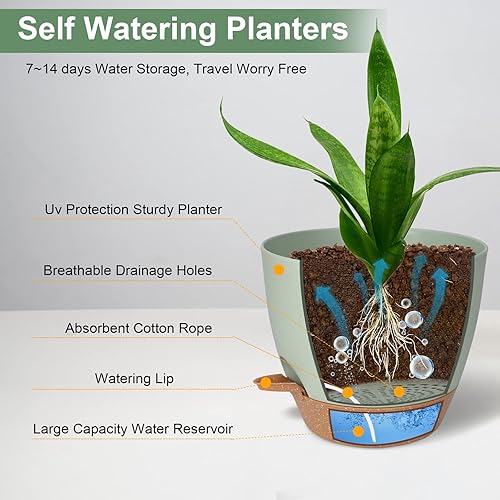 Miniatura 91 de Macetas de interior de 7/6.5/6/5.5/5 pulgadas con riego automático para plantas de interior con orificio de drenaje, macetas de plástico para Verde