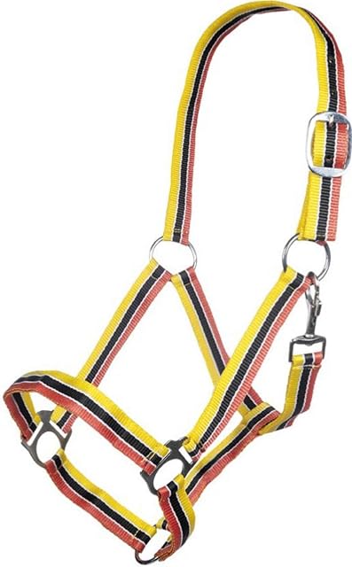 HKM Genf Funda Gelb Pony