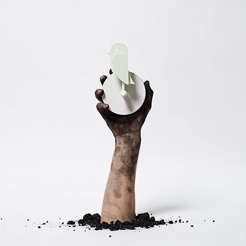 Miniatura 5 de Birdie Design - Monitor de CO2 para interiores, medidor de calidad del aire para el hogar y la oficina, promueve la salud mental y física,