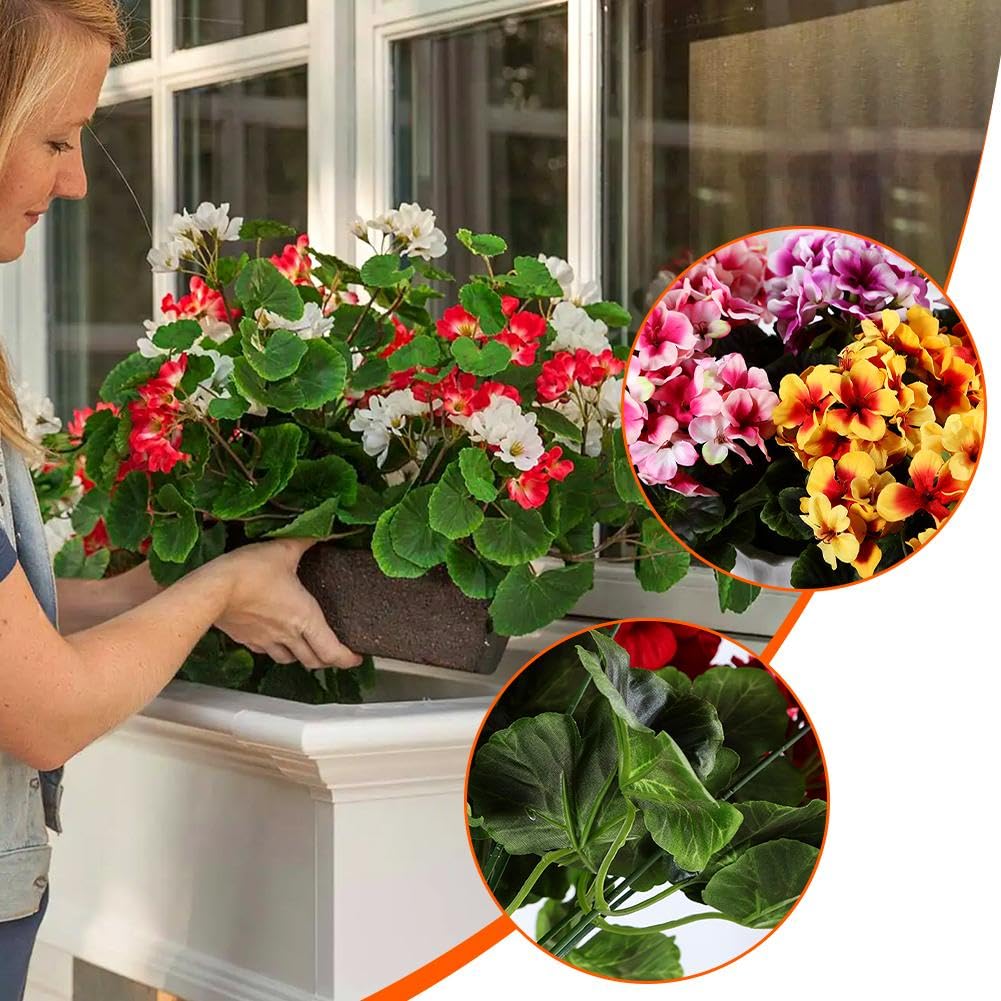 FLORASELF Begonia Double Dot potmaat 17 cm H 32 cm kopen