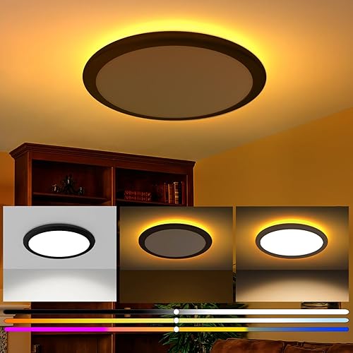 zouzai Lámpara de techo LED de 12 pulgadas con luz nocturna, 22 W, 2400 lm, 2700 K3000 K3500 K4000 K5000 K, luces de techo regulables para