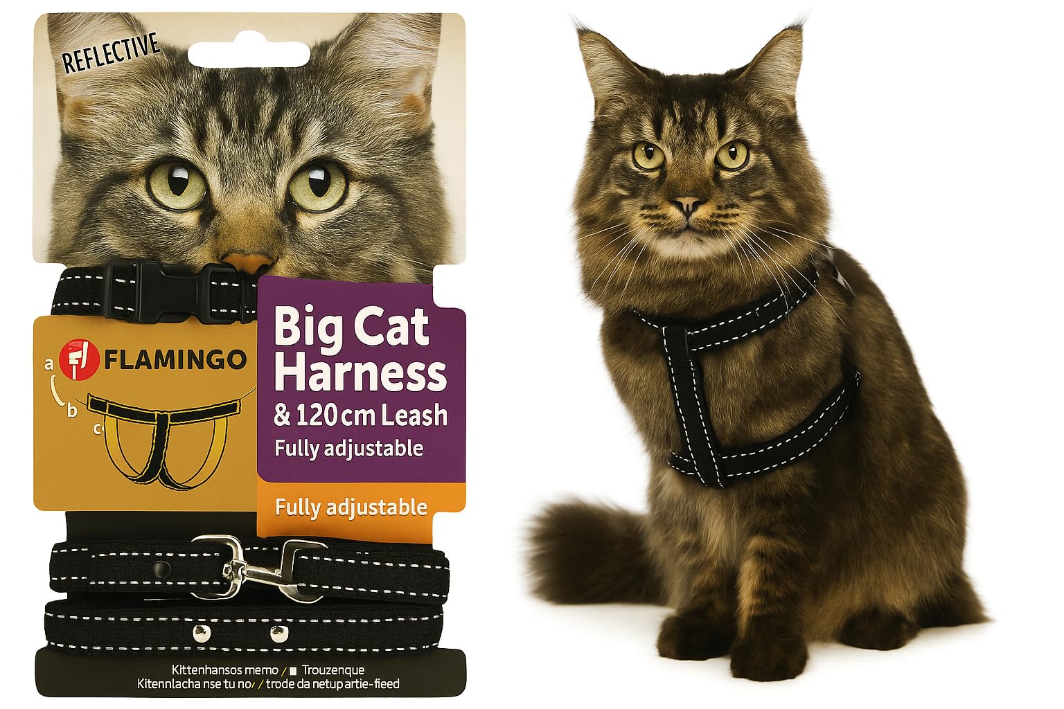 cat harness - large cat Elza black - 22-32cm - 35-56cm - leash 120cm - adjustable nylon - reflective - with carabiner
