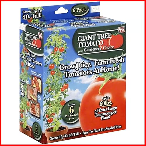 Miniatura 6 de GA-TGIANT06 Gardeners' Choice - Árbol de tomate gigante