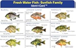 Express Yourself Sunfish Family Ident-I-Card - Freshwater Fish Identification Card