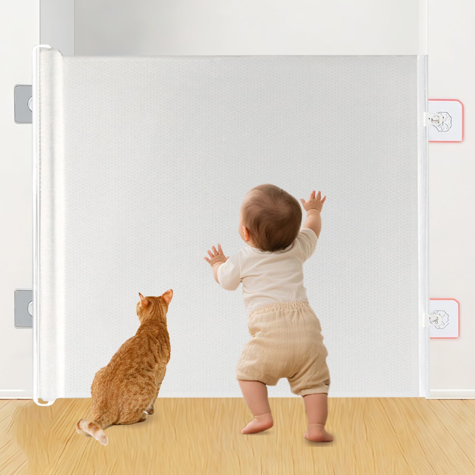 セーフティーの商品画像