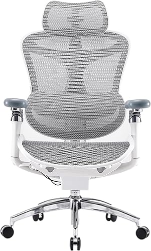 SIHOO Doro C300 Pro Ergonomic Office Chair with Ultra-Soft 6D Armrests, Dynamic Lumbar Support, Seat Depth Adjustment, Adjustable Backrest, Big and Tall Desk Chair for Home Office (Grey)