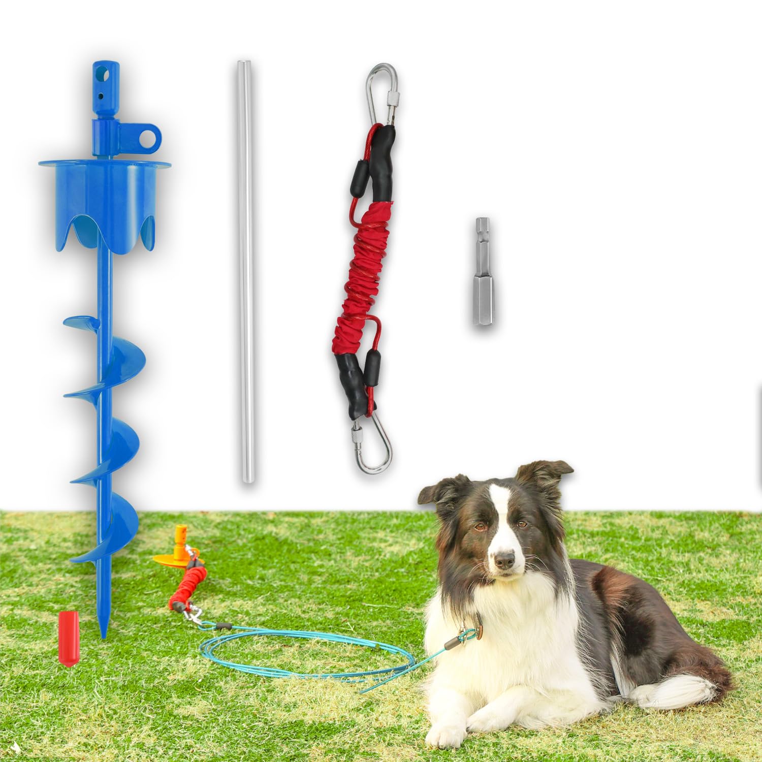 Piquet pour chien extérieur idéal camping et cour arrière attache sécurisée 158kg