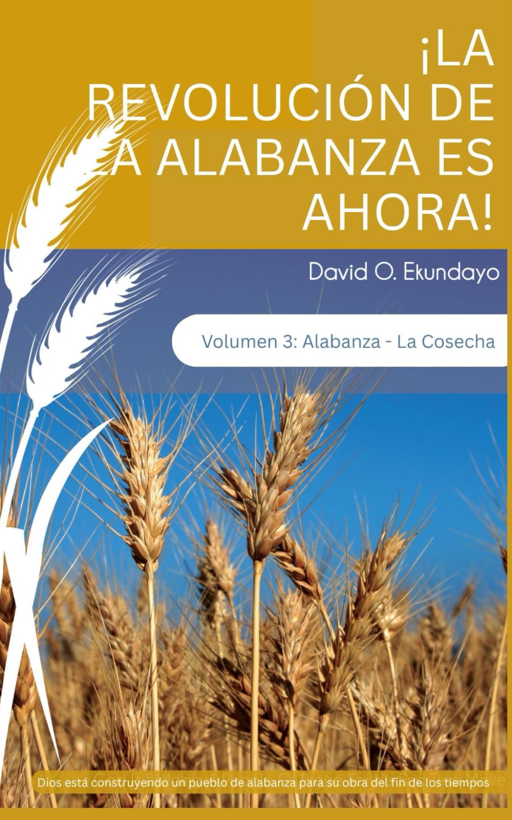 ¡LA REVOLUCIÓN DE ALABANZA ES AHORA! Volumen 3: ALABANZA: LA COSECHA