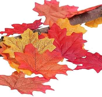 ☆未使用品☆【針金入り】秋飾り造花もみじ50本セット おまけ付 楓 かえで 紅葉 71MoCqQx0-L._AC_UF350,
